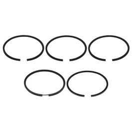 Piston Ring Set - Fits Case/IH - 3044487R93