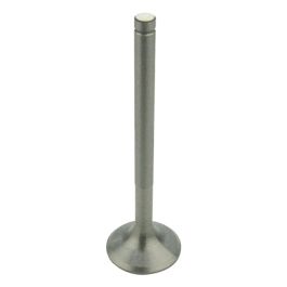Intake Valve - Fits Case/IH - 3055055R2