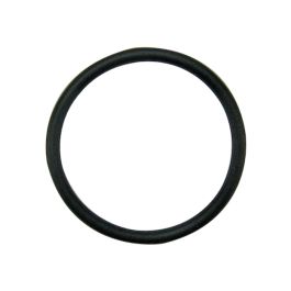Hydraulic Piston O-Ring - Fits Case/IH - 381871R1