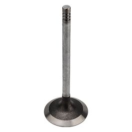 Intake Valve - Fits Massey Ferguson - 4222579M1