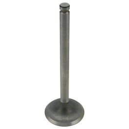 Intake Valve - Fits Massey Ferguson - 731151M1