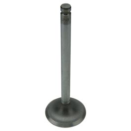 Intake Valve - Fits Massey Ferguson - 732811M1