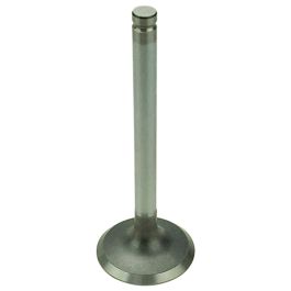 Intake Valve - Fits Massey Ferguson - 739027M1