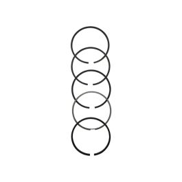 Ring Set, Individual - Fits Massey Ferguson - 745760M91