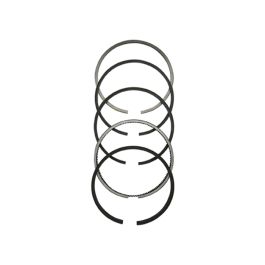 Ring Set, Individual - Fits Massey Ferguson - 745818M91