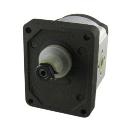 Power Steering Pump - Fits Fiat/Long - 753668