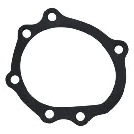 Water Pump To Backplate Gasket - Fits FORD NEW HOLLAND - EAF8507B