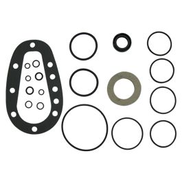 Steering Sector Repair Kit - Fits Ford/New Holland - EDPN3500A