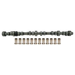 Camshaft & Lifter Set - Fits Ford/New Holland - FD06-M001