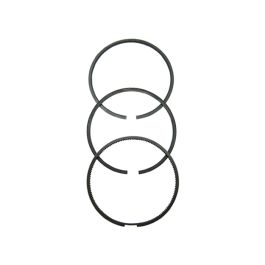 Ring Set 102MM - Fits Fiat/Long - TX792528