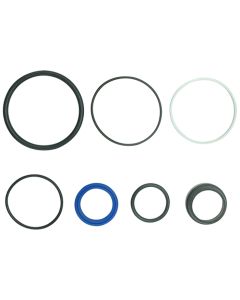 Power Steering Cylinder Seal Kit - Fits Massey Ferguson - 1749798M91