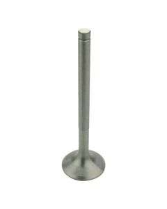 Intake Valve - Fits Case/IH - 3055055R2