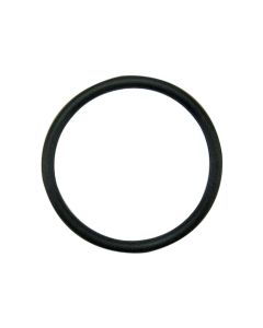 Hydraulic Piston O-Ring - Fits Case/IH - 381871R1
