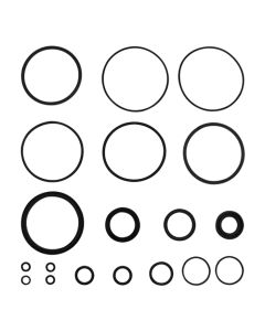 Power Steering Cylinder Seal Kit - Fits Massey Ferguson - 830860M92
