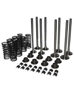 Valve kit - Fits Case/IH - BD154VALVESET